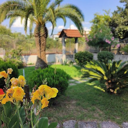 I Giardini Di Plinio - Elegante E Luminoso. Apartment Боскореале Екстериор снимка